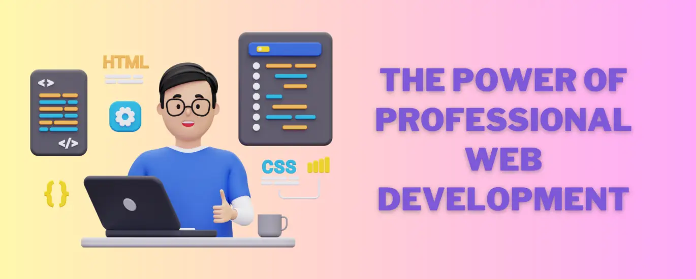 professional web development
